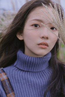 yes一族